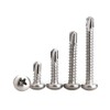 BOZONLI M5.5 Self Drilling Screws Self Tapping Screws for Metal,