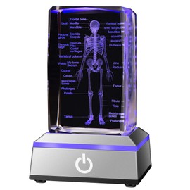 IFOLAINA 3D Human Skeleton Model Anatomy Gifts Crystal Labeled Skeleton Model Medical Figurines Bone Doctor Stuff Named Laser Engraved Gift for Med Biology Students