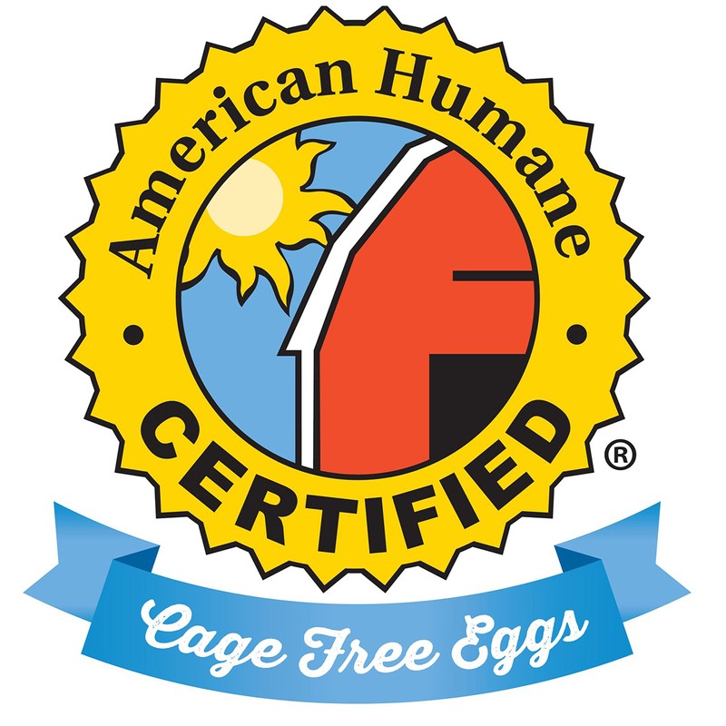 Best Foods Light Mayonnaise, 20 oz