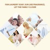 BEE & FLOWER Fan Laundry Soap Bar Laundry Stain Remover