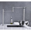 Extension Shank Kitchen Faucet Pot Filler with Premium FeaturesColor: as