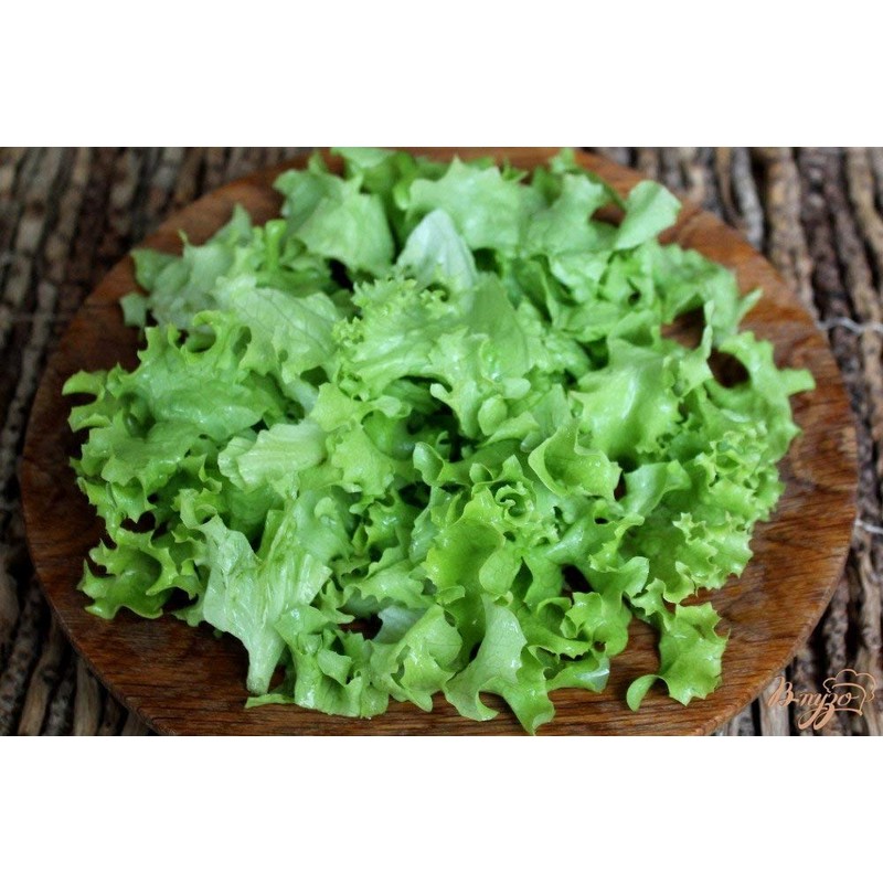 Curly Leaf Lettuce About 1000 Seeds