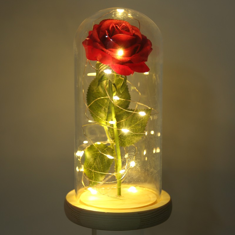 Rose in Glass Dome Lucky Beautiful Symbolism Romantic Enchanted Rose