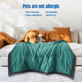 Winuoyang Cooling Blanket for Night Sweats, Breathable Lightweight Blanket for Summer Hot Weather 100x140cm (Green New)