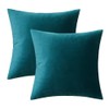 MIULEE Pack of 2 Velvet Pillow Covers Decorative Square Pillowcases