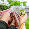 Calypso Lemonade, Original Lemonade, Made with Real Fruit, 16 Fl