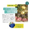 Biosupplement Cat Claw Cut Peruvian Cat-Claw Noni Maca Camu Carotenoid,