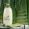 Fresh aloe scented natural soothing moisturizing body lotion 500ml / 신선한 알로에향 자연유래 진정보습 바디로션 500ml