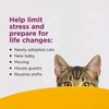 Comfort Zone 1 Pack Cat Calming Diffuser Refills; 30-Day Refills;