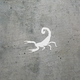 Decal Stickers of Scorpion Silhouette Funny (White) (Set of 2) Luxury Weatherproof Vinyl Decal Stickers for Laptop Desktop Smartphone Car Dirt Bike Wall Room Mason Jar - BICVER1049331WHW19Y24