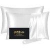 Silk Pillow Cases 2 Pack, Mulberry Silk Pillowcases Standard Set