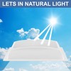 RecPro RV Skylight Inner Dome with Clear Window | 14"