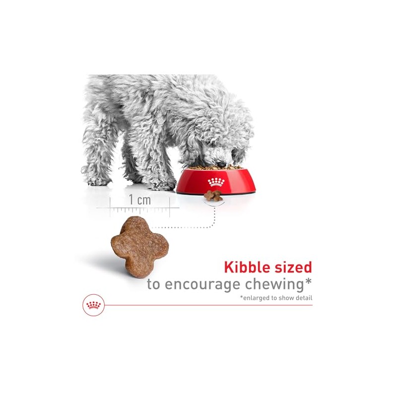 ROYAL CANIN, Adult - Small +8, Croquetas para Perro, 1.1kg
