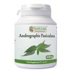 Andrographis Paniculata 450mg x 90 Capsules