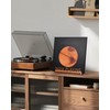 BS-VOG Now Playing Vinyl Record Stand, Spiral Groove Texture LP
