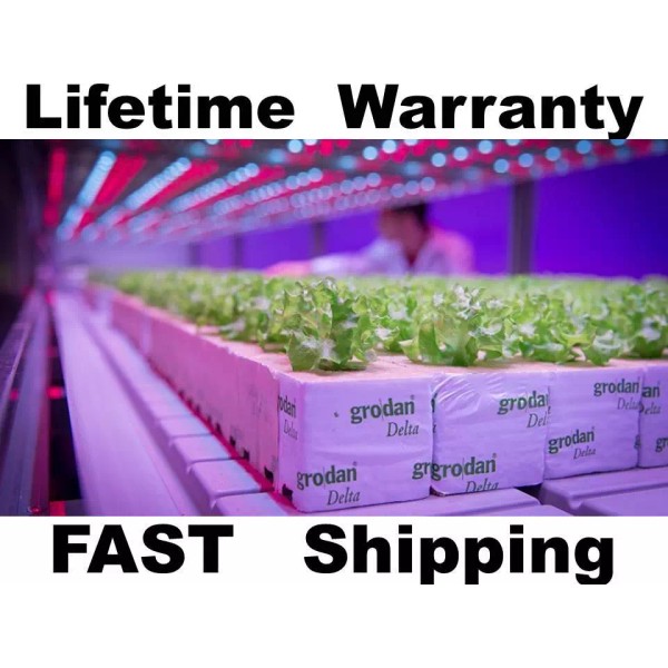 CH Professional GROW LIGHTS - Bulk Pack --- 1500 lights
