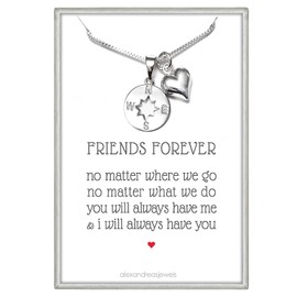 Compass Necklace for Women, Sterling Silver Compass Necklace, Friends For Eternity Necklace, Best Friend Gift, 18 inches