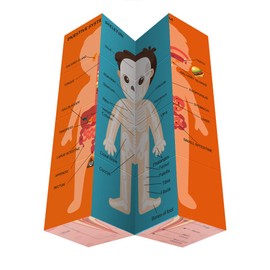 Aliwovo My Body Educational Study Cube Human Cartoon Anatomy Poster Set Learning Body Parts, Organs, Muscles And Bones For Kids Fun Learning-Tool Educational Gift for Boy and Girl