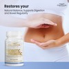 FREZZOR Probiotic + Prebiotic Capsules, Once Daily 60 Billion CFUs,