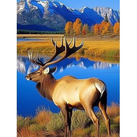 SKRYUIE DIY 5D Diamond Art Painting by Numbers Kits Animal, Diamond Art Elk Crystal Embroidery Cross Stitch Art Craft Wall Sticker Decoration Wall Decoration 30x40cm(12x16in)