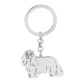 RAIDIN Stainless Steel 18K Gold Silver Plated Cute Dog Keychain Keyring for Women Girls Gifts Car Purse Keys Dog Lovers Charms Accessories (Silver-004 Cavalier King Charles Spaniel)