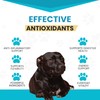 Wanderfound Pets 10-in-1 Dog Multivitamin, Chewable Dog Vitamins with Glucosamine,