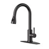 FORIOUS Kitchen Faucets with Pull Down Sprayer, Oil Rubber Brown,