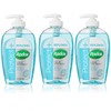Radox Antibacterial Plus Replenish Hand Wash 3 Pack