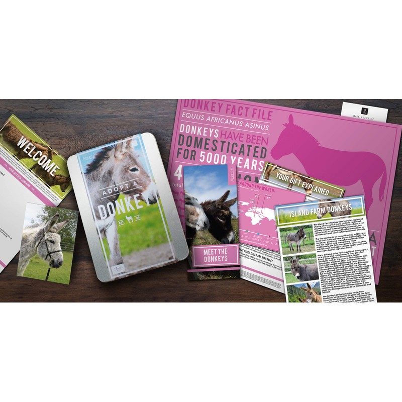 Gift Republic Donkey Adopt It - Lata de adopción de