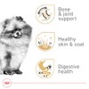 ROYAL CANIN, Adult - Pomeranian, Croquetas para Perro, 1.1kg