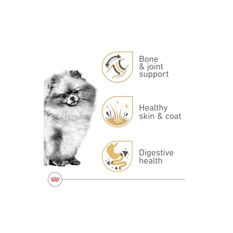 ROYAL CANIN, Adult - Pomeranian, Croquetas para Perro, 1.1kg