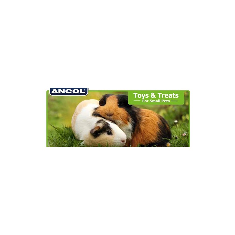 Ancol Just 4 Pets Wooden Carrot Cruncher Chew Toy