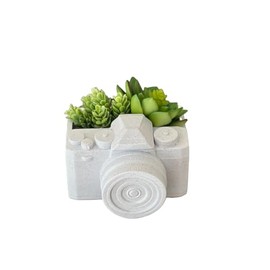 Camera Planter Pot for Camera Planter Succulent Pot Photographer Home Decor, Indoor Household Decor Planter, Great Gift Ideas (Marble)