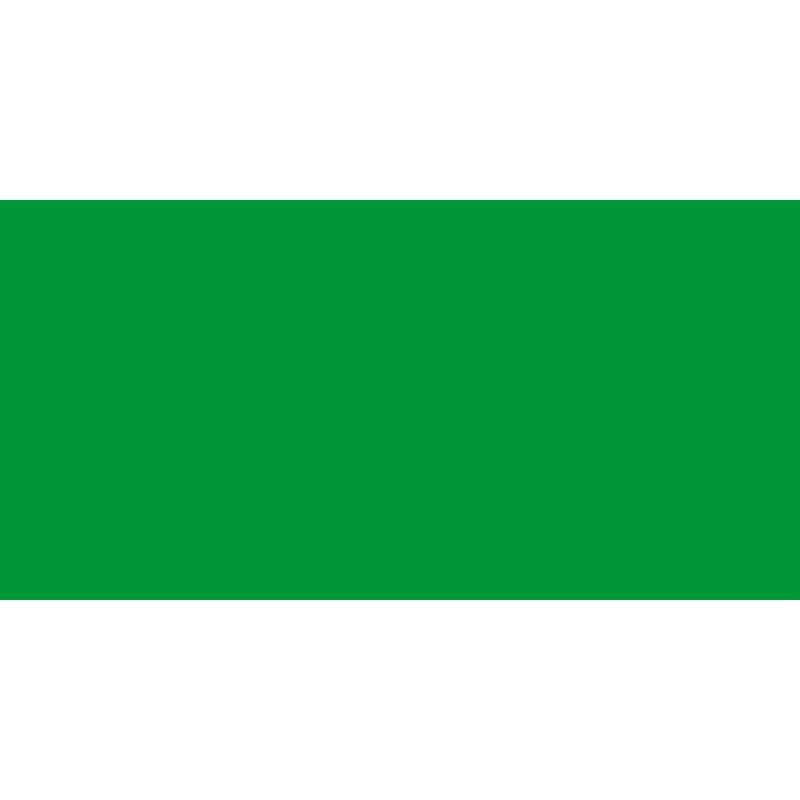 Caran d'Ache : Pablo Coloured Pencil : Grass Green 220