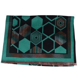TZ Promise Women's Pashmina Silky Blanket Scarf Shawl Chunky Oversized Wrap for Evening Dressing (Geometric-Green/Black)