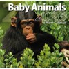 2026 Baby Animals Full Size Wall Calendar for Planning, Scheduling,