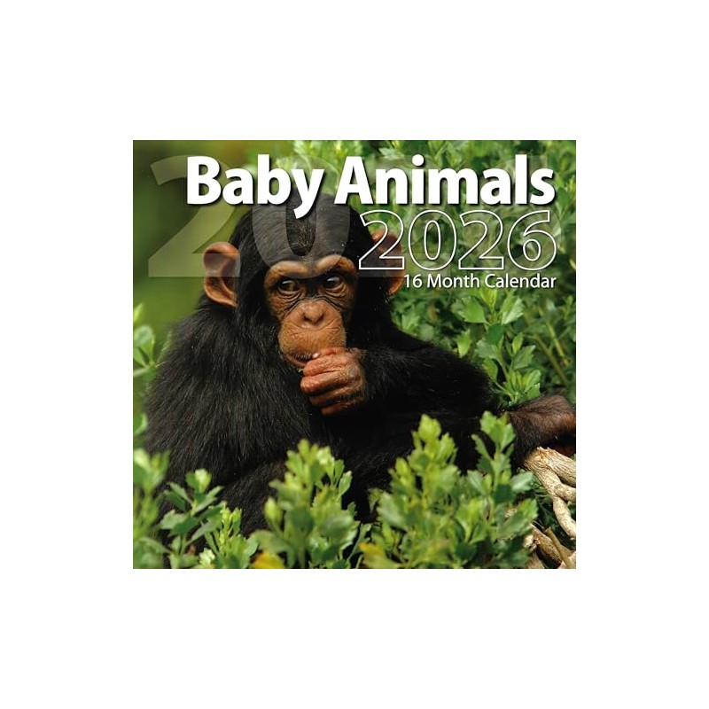 2026 Baby Animals Full Size Wall Calendar for Planning, Scheduling,