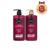 LG Household & Health Care Elastin Camellia Black (Choose 1: Shampoo or Treatment) x 2 - Treatment / 엘라스틴 카멜리아블랙 (샴푸/트리트먼트 택1) x 2개 - 트리트먼트