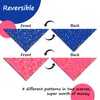 Raisingwell Birthday Dog Bandanas 2 Pack, 4 Pattern Reversible, Blue