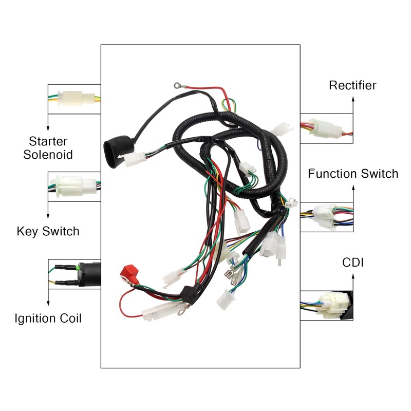 Full Electric Wire Harness Wiring Harness Loom CDI Coil Solenoid