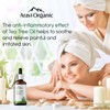 Aravi Organic Tea Tree Essential Oil - 15 ml |
