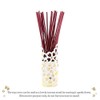 nippon kodo SCENTSCAPE - Beautiful Spring 40 Sticks, Japanese Quality