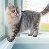 Window Sill Protector (4Inch x 16.5Ft) Cuttable Window Sill Protector,Door