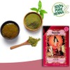 Henne Color Henna Powder 100g (Pack of 3) (Auburn)