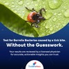 TickBiteHero Lyme Disease Test Kit – Easy at-Home and Pain-Free