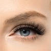 Renova Mascara para Pestaas Dimenssion 3D, negro, 14.5 g
