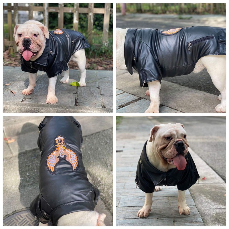 Lovelonglong Cool Dog Leather Jacket, Warm Coats Dogs Windproof Cold