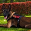 IronSeals Tactical Service Dog Vest Harness Patrol Molle Dog Harness