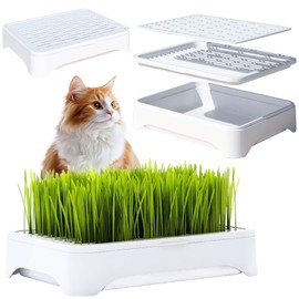 YjiaYjiaY 2-Pack Cat Grass Planter (No Seeds Included), Tri-Section Design, Anti-Pull Out Cat Grass Seed Starter Tray, Sprouts Growing Kit, Microgreens Growing Trays