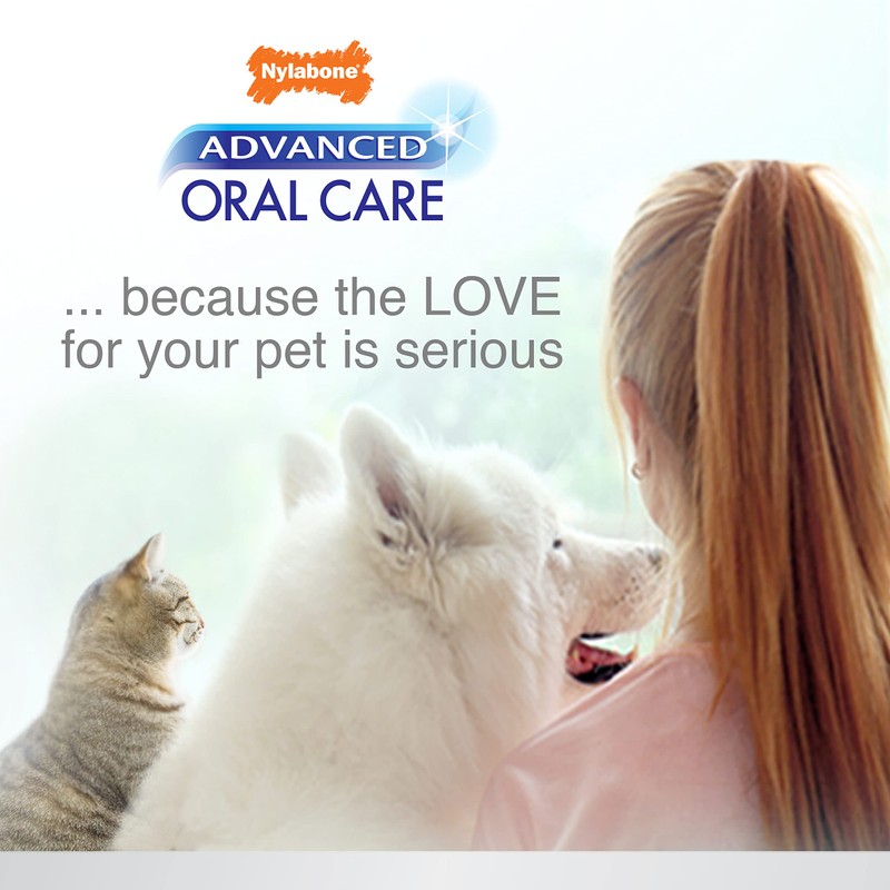 Nylybone Kit Dental Advanced Oral Care Gatos